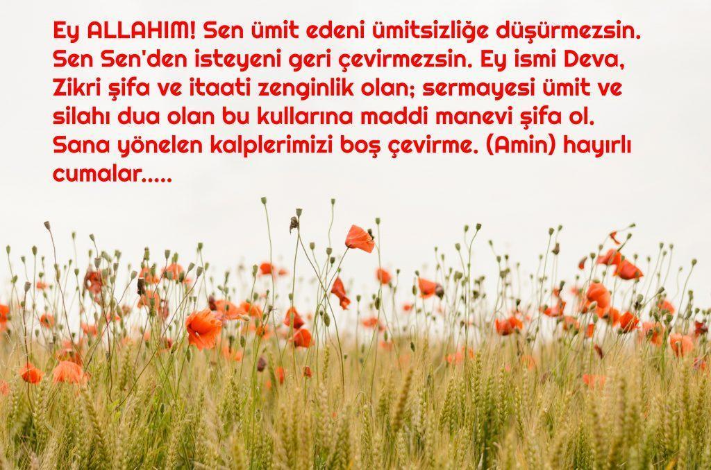 Cuma Mesajlarının Bereketi