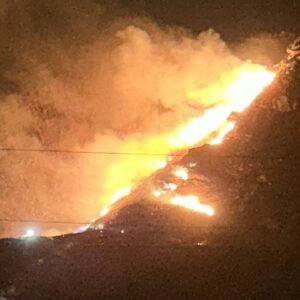 marmara adasinda orman yangini xIwG9c3z