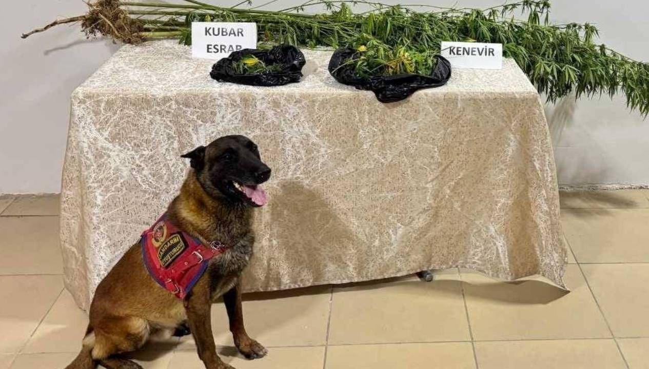 elazigda uyusturucu operasyonu 1 supheli yakalandi HrItW571