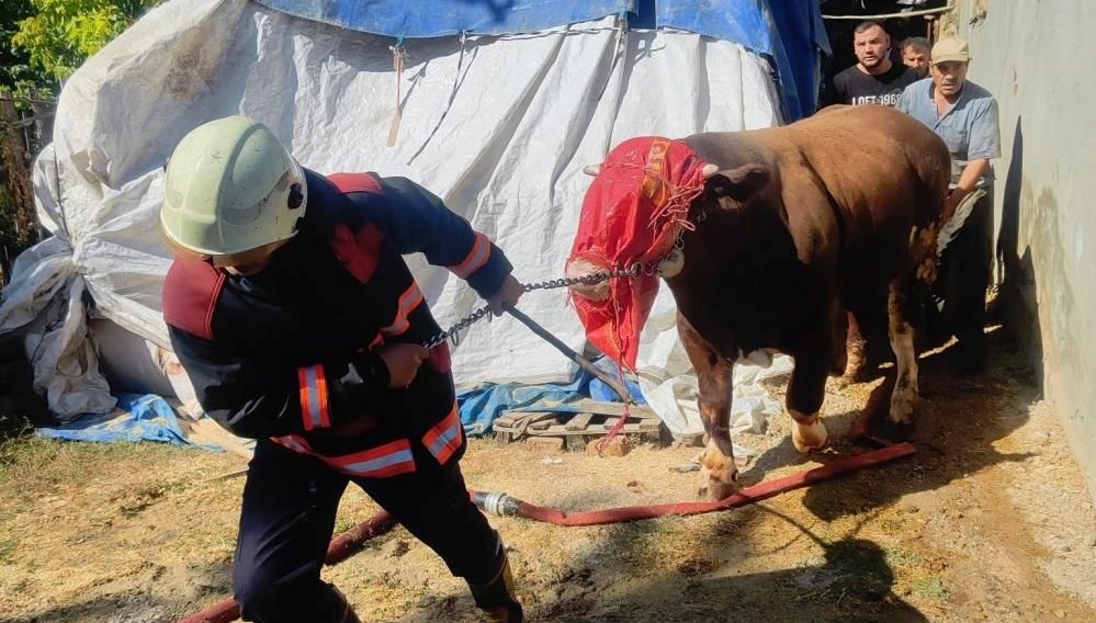 malatyada ahirda yangin panigi l2Z5Ns9m