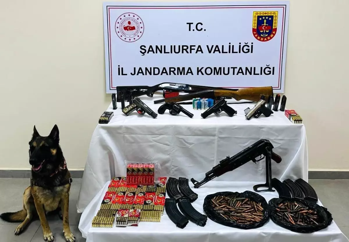 sanliurfada silah operasyonu ElZnJzkU