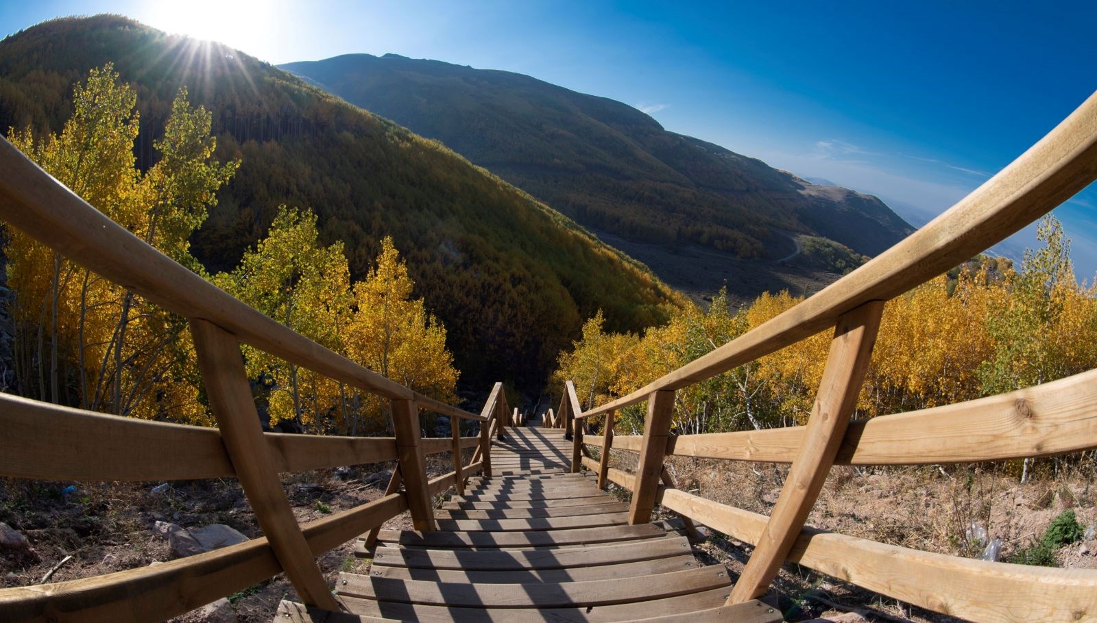 dogaseverlerin kayserideki sakli hazinesi ortaseki ormanlari 8DS7z6vX