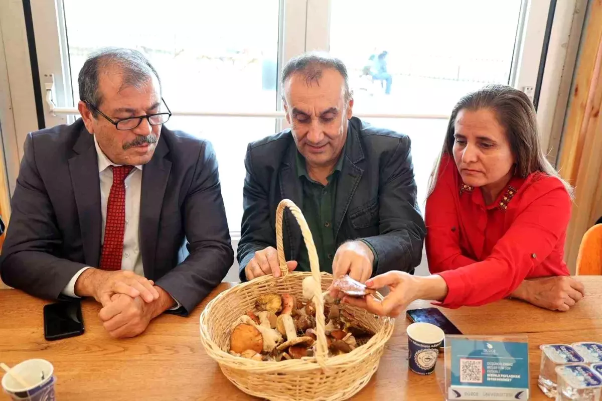 duzce universitesinde mantarlarin gizemli dunyasi etkinligi gerceklestirildi VSyI7JAl.jpg