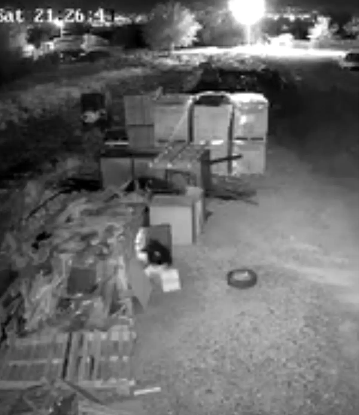 elazigda guvercin hirsizligi guvenlik kamerasinda 7NA17hlZ.jpg