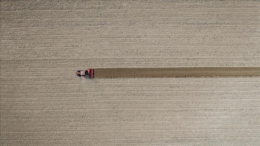 tarim ufe eylulde artti Pk1MsMsH.jpg