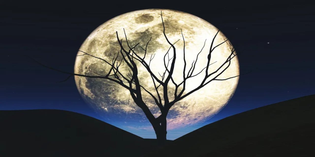 5 kasimda boga burcundaki dolunay neler geliyor neler gidiyor C965GShO.jpg