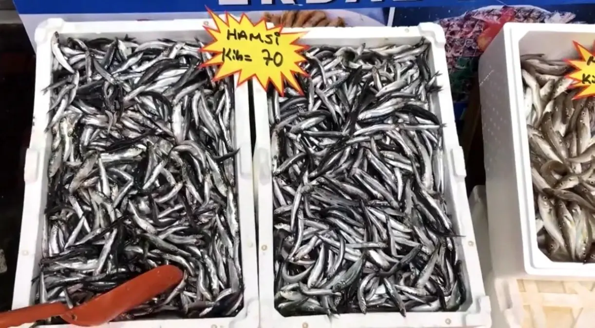 akcakoca balikci barinagi baskanindan taze balik uyarisi wFk7zQiD.jpg